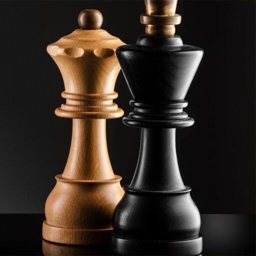 انتصابات جدید در فدراسیون شطرنج