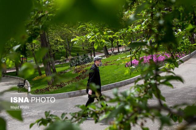 15 باغ شهری تهران بوستان می شود 15 باغ شهری تهران بوستان می گردد