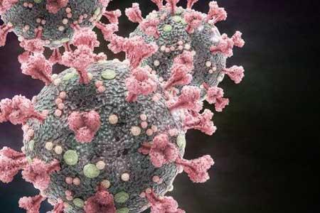 شناسایی ژن های انسانی که با ویروس کرونا مقابله می کنند