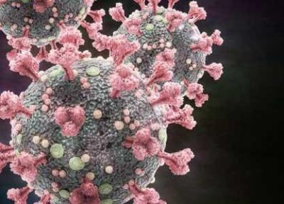 شناسایی ژن های انسانی که با ویروس کرونا مقابله می کنند