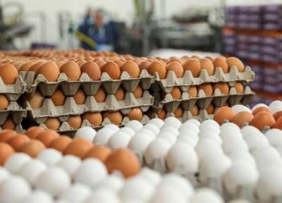 حداقل قیمت هر تخم مرغ 1200 تومان است