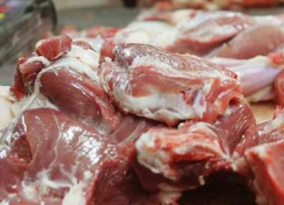 دستور واردات سریع 10هزار تن گوشت گرم گوسفندی برای تنظیم بازار شب عید
